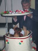 Елена Дари в праздничном торте